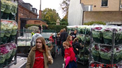 IMG_20171021_094146547